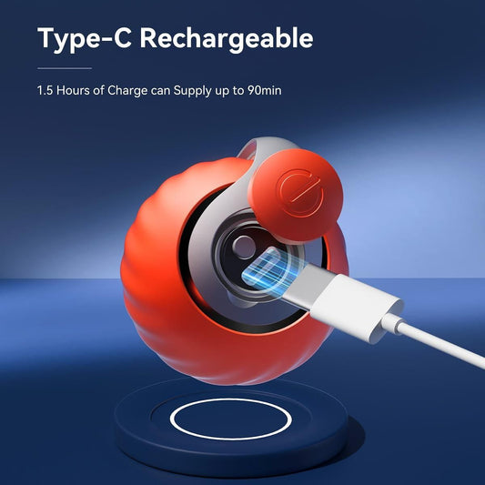 Rolling Ball Pet Toy