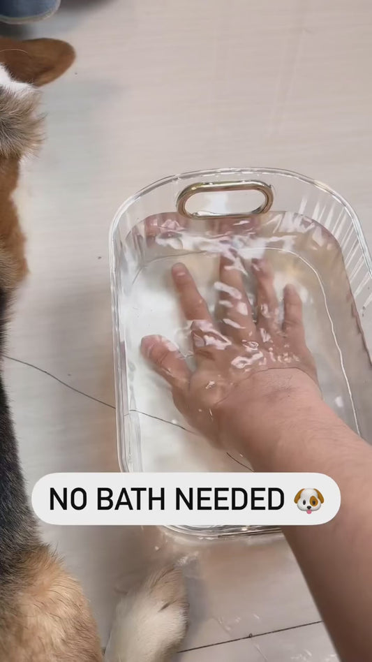 Steamy Pet Grooming Brush