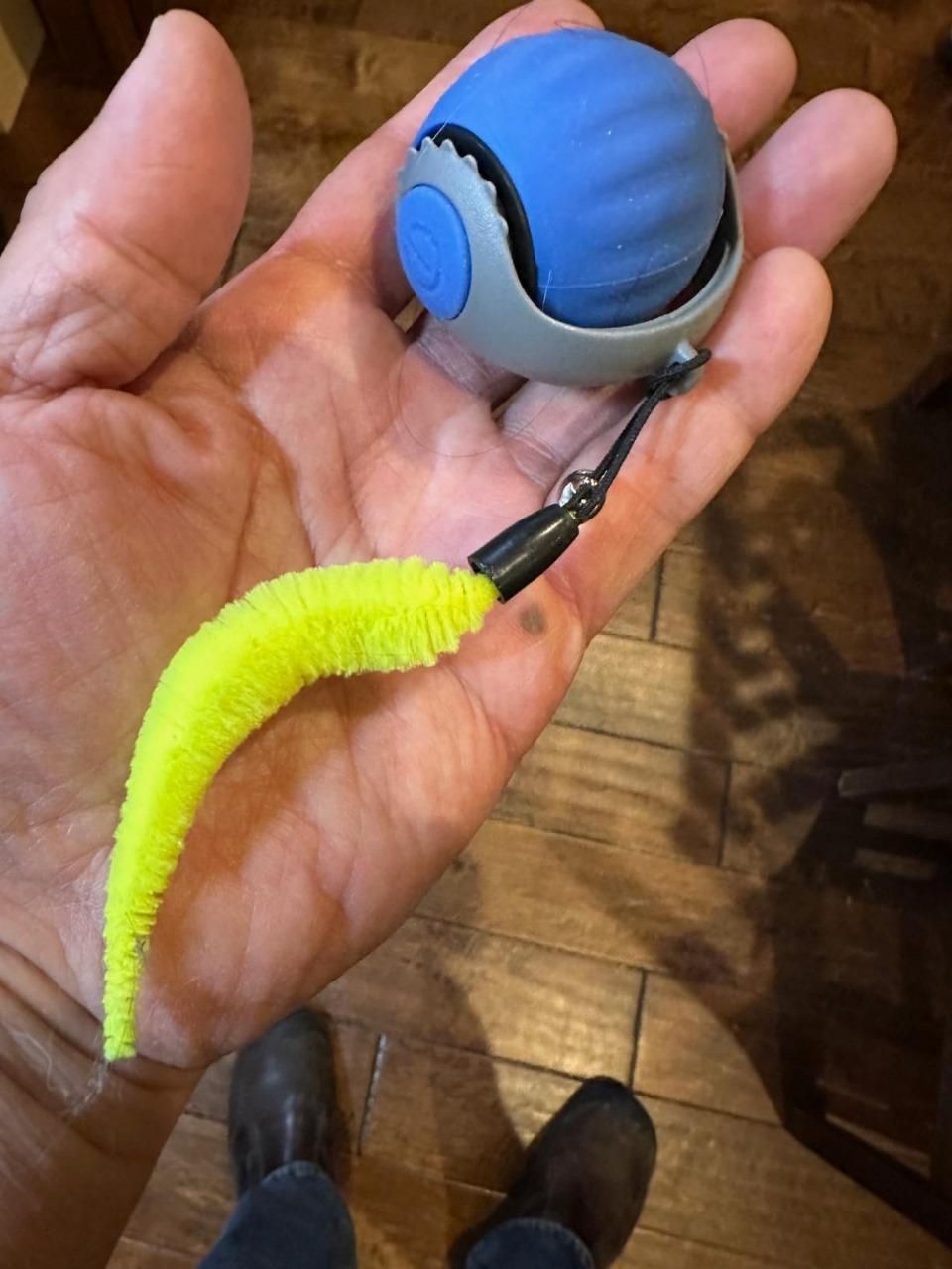 Rolling Ball Pet Toy